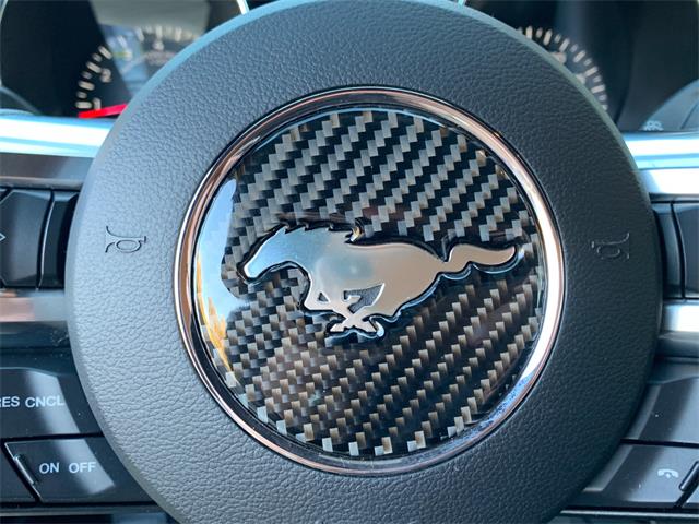 2017 Ford Mustang (Roush) (CC-1297667) for sale in Edgewater Park, New Jersey