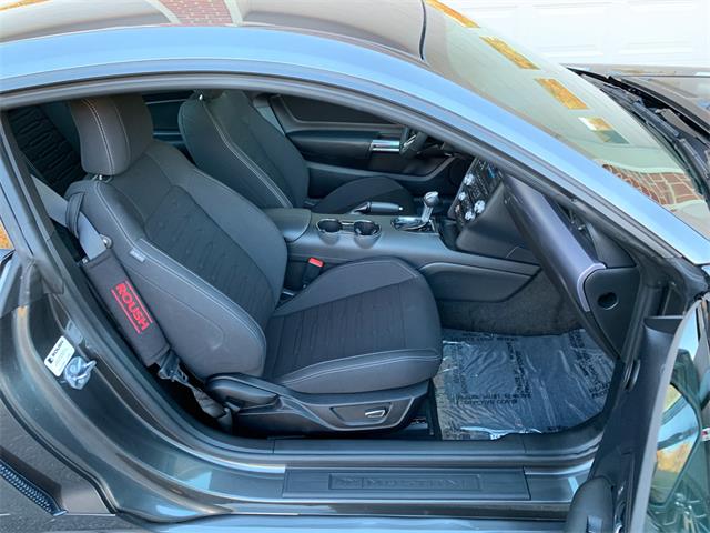2017 Ford Mustang (Roush) (CC-1297667) for sale in Edgewater Park, New Jersey