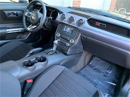 2017 Ford Mustang (Roush) (CC-1297667) for sale in Edgewater Park, New Jersey
