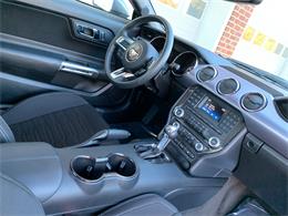 2017 Ford Mustang (Roush) (CC-1297667) for sale in Edgewater Park, New Jersey