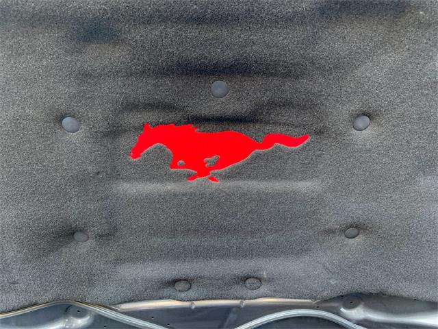2017 Ford Mustang (Roush) (CC-1297667) for sale in Edgewater Park, New Jersey
