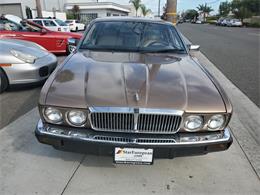 1989 Jaguar XJ6 (CC-1297929) for sale in Costa Mesa, California