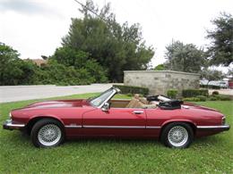 1992 Jaguar XJS (CC-1298339) for sale in Delray Beach, Florida