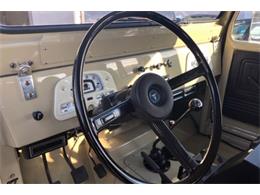 1979 Toyota Land Cruiser FJ (CC-1298690) for sale in Scottsdale, Arizona