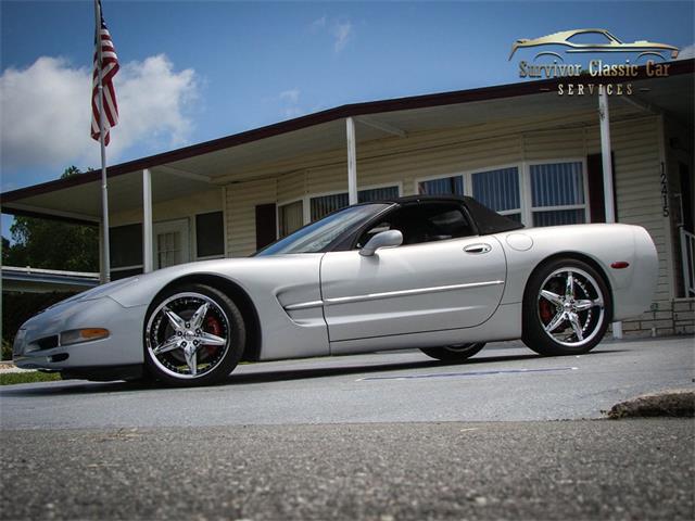 1999 Chevrolet Corvette (CC-1299216) for sale in Palmetto, Florida