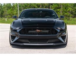 2019 Ford Mustang GT (CC-1299279) for sale in Ocala, Florida
