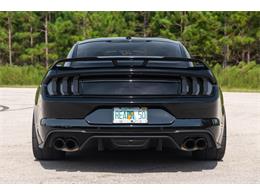 2019 Ford Mustang GT (CC-1299279) for sale in Ocala, Florida
