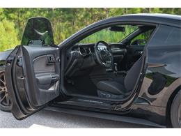 2019 Ford Mustang GT (CC-1299279) for sale in Ocala, Florida