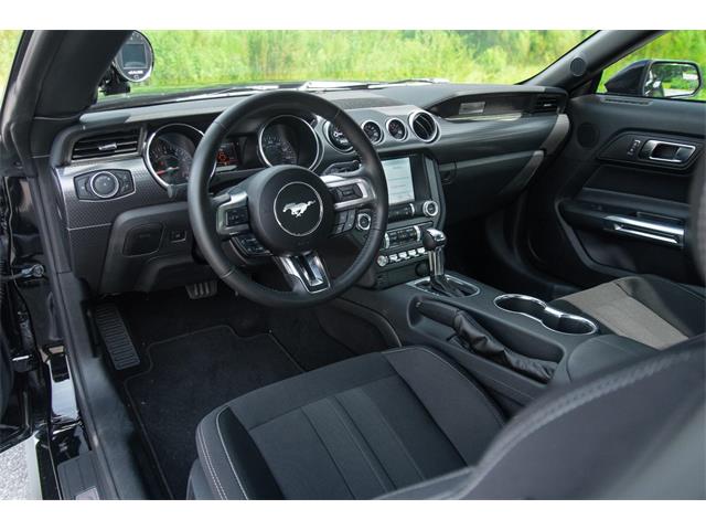 2019 Ford Mustang GT (CC-1299279) for sale in Ocala, Florida