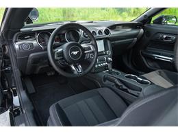 2019 Ford Mustang GT (CC-1299279) for sale in Ocala, Florida