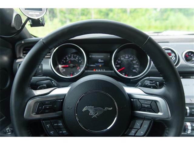 2019 Ford Mustang GT (CC-1299279) for sale in Ocala, Florida
