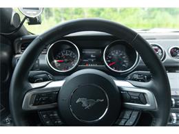 2019 Ford Mustang GT (CC-1299279) for sale in Ocala, Florida