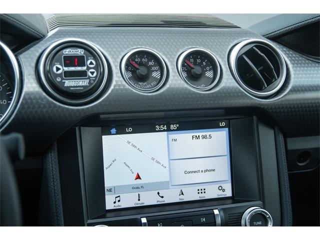 2019 Ford Mustang GT (CC-1299279) for sale in Ocala, Florida