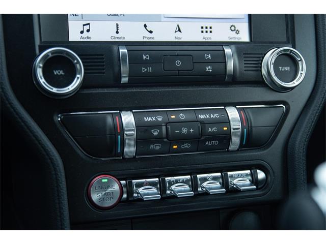 2019 Ford Mustang GT (CC-1299279) for sale in Ocala, Florida