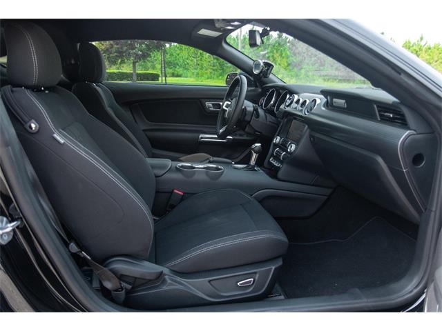 2019 Ford Mustang GT (CC-1299279) for sale in Ocala, Florida