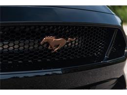 2019 Ford Mustang GT (CC-1299279) for sale in Ocala, Florida
