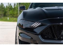 2019 Ford Mustang GT (CC-1299279) for sale in Ocala, Florida