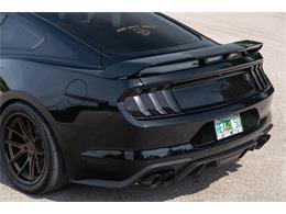 2019 Ford Mustang GT (CC-1299279) for sale in Ocala, Florida