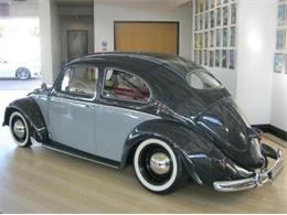 1957 Volkswagen Beetle (CC-1299668) for sale in Cadillac, Michigan