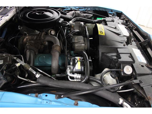 1980 Pontiac Firebird Trans Am (CC-1299873) for sale in Fort Worth, Texas