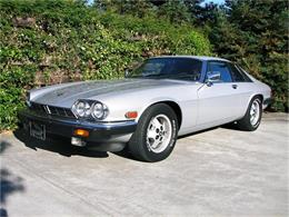1985 Jaguar XJS (CC-137956) for sale in Fremont, California