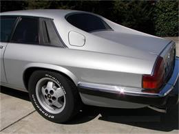 1985 Jaguar XJS (CC-137956) for sale in Fremont, California