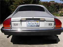 1985 Jaguar XJS (CC-137956) for sale in Fremont, California