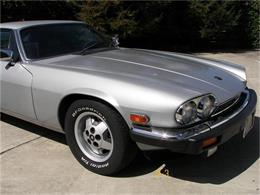 1985 Jaguar XJS (CC-137956) for sale in Fremont, California
