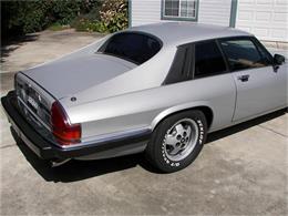 1985 Jaguar XJS (CC-137956) for sale in Fremont, California