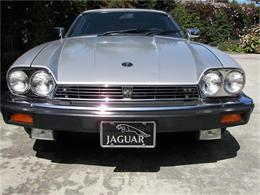 1985 Jaguar XJS (CC-137956) for sale in Fremont, California