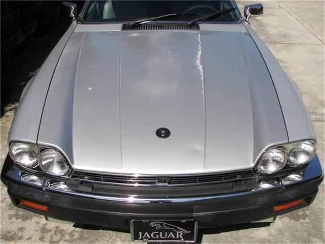 1985 Jaguar XJS (CC-137956) for sale in Fremont, California