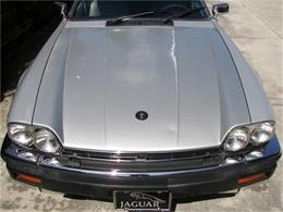 1985 Jaguar XJS (CC-137956) for sale in Fremont, California