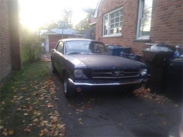 1964 Ford Mustang (CC-1301340) for sale in Cadillac, Michigan