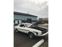 1973 Ford Mustang (CC-1301627) for sale in Cadillac, Michigan