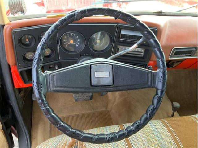 1977 Chevrolet C/K 10 (CC-1301816) for sale in Fredericksburg, Texas