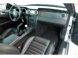 2009 Shelby GT500 (CC-1301942) for sale in Scottsdale, Arizona