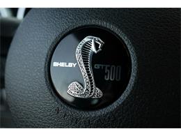 2009 Shelby GT500 (CC-1301942) for sale in Scottsdale, Arizona
