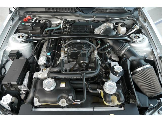 2009 Shelby GT500 (CC-1301942) for sale in Scottsdale, Arizona