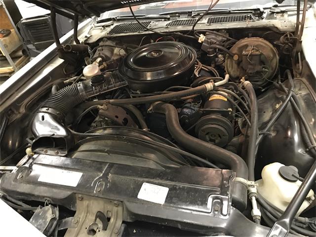 1979 Chevrolet Camaro SS Z28 (CC-1302069) for sale in Nocona, Texas