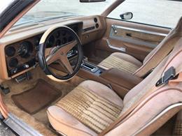 1979 Pontiac Grand Prix (CC-1302687) for sale in Cadillac, Michigan