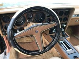 1979 Pontiac Grand Prix (CC-1302687) for sale in Cadillac, Michigan