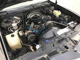 1979 Pontiac Grand Prix (CC-1302687) for sale in Cadillac, Michigan