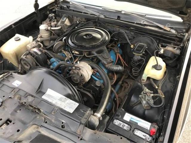 1979 Pontiac Grand Prix (CC-1302687) for sale in Cadillac, Michigan