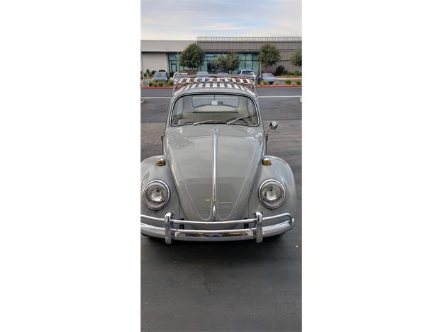 1966 Volkswagen Beetle (CC-1302833) for sale in Solana Beach, California