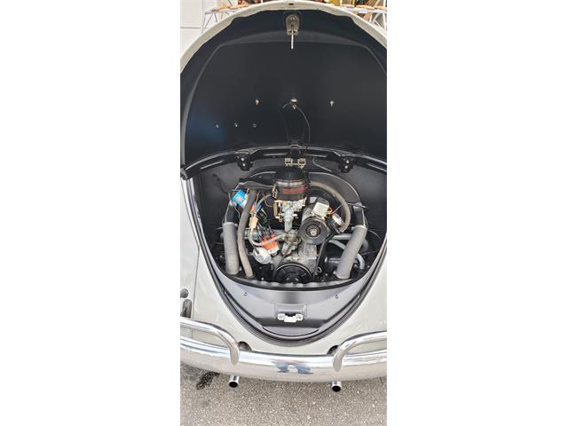 1966 Volkswagen Beetle (CC-1302833) for sale in Solana Beach, California