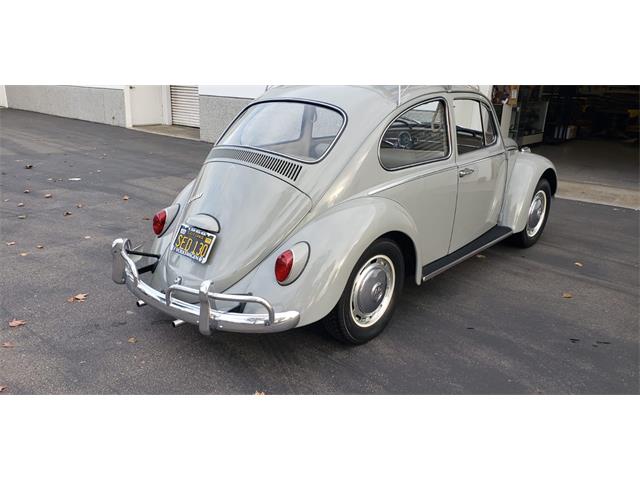 1966 Volkswagen Beetle (CC-1302833) for sale in Solana Beach, California