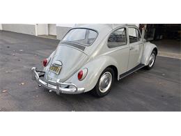1966 Volkswagen Beetle (CC-1302833) for sale in Solana Beach, California
