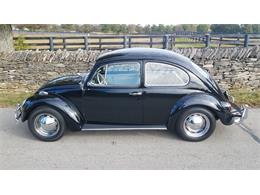 1965 Volkswagen Beetle (CC-1303938) for sale in Lexington, Kentucky