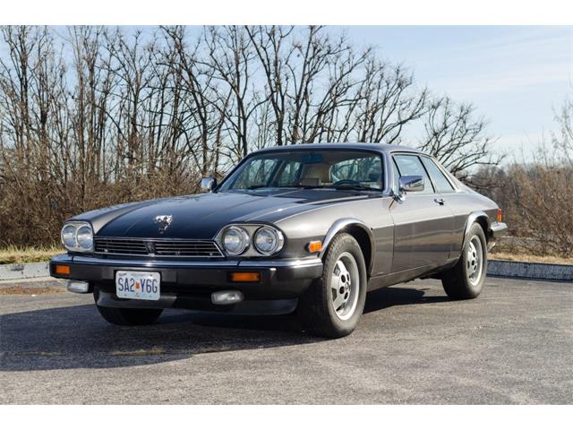 1986 Jaguar XJ (CC-1304161) for sale in St Louis, Missouri