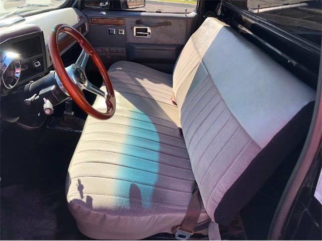 1975 Chevrolet C10 (CC-1304665) for sale in Cadillac, Michigan